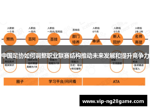 中国足协如何调整职业联赛结构推动未来发展和提升竞争力